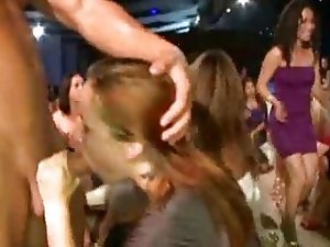 Girls Sucking Dicks On A Party